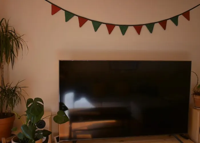 Hébergement de vacances L'oustal Des Amis Belcaire